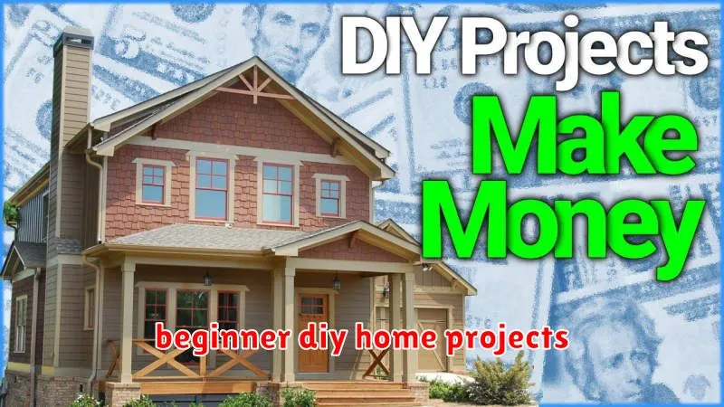 beginner diy home projects