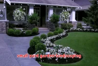 small yard garden landscaping
