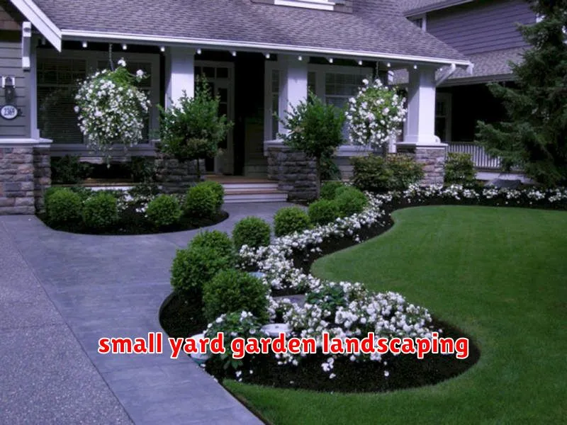 small yard garden landscaping